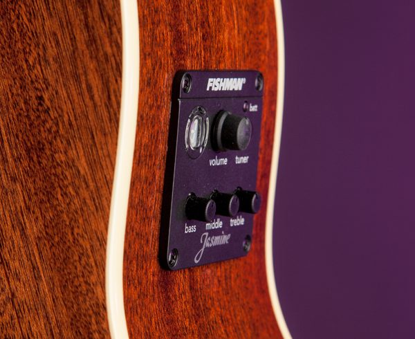 closeup of Fishman tuner on Jasmine JO-37CE